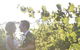 Quoin Hill Vineyard - thumb 8
