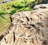 Terramungamine Rock Grooves - Accommodation Port Hedland