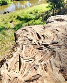 Terramungamine Rock Grooves - Accommodation Port Hedland 0