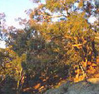 Mount Alexander Regional Park - Accommodation Port Hedland