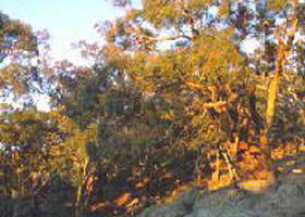 Mount Alexander Regional Park - Accommodation Port Hedland 0