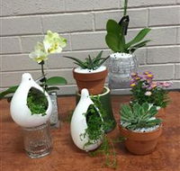 Cobram Florist - Accommodation Port Hedland