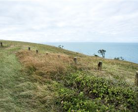 Cape Palmerston National Park - Accommodation Port Hedland 3