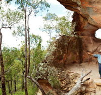 Pilliga National Park - Accommodation Port Hedland
