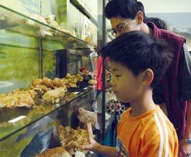 Crystal Kingdom - Accommodation Port Hedland 2