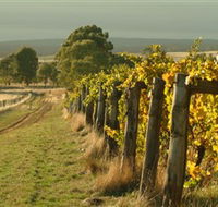 Captains Creek Organic Wines - Accommodation Port Hedland