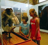 Australian Museum Diprotodon Exhibition - Accommodation Port Hedland