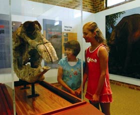 Australian Museum Diprotodon Exhibition - Accommodation Port Hedland 0