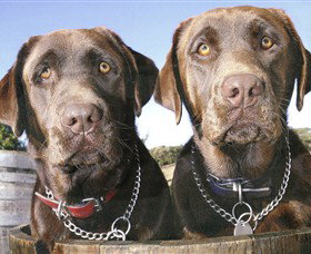 Ellender Estate - Accommodation Port Hedland 7