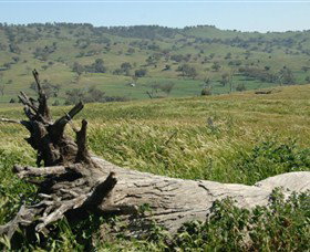Self Drive Geology And Nature Trails - Accommodation Port Hedland 3