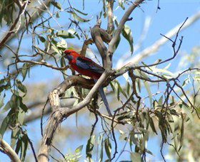 Self Drive Geology And Nature Trails - Accommodation Port Hedland 2