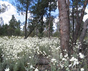 Self Drive Geology And Nature Trails - Accommodation Port Hedland 4