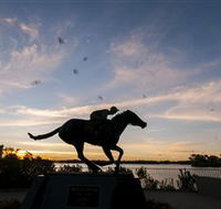 Black Caviar Statue - Accommodation Port Hedland
