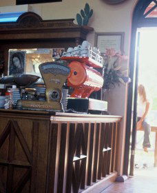 Cactus Cafe And Gallery - Accommodation Port Hedland 1