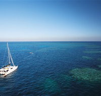 Bait Reef and Garys Lagoon Dive Site - Accommodation Port Hedland