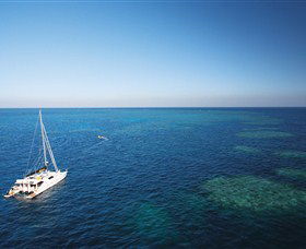 Bait Reef And Garys Lagoon Dive Site - Accommodation Port Hedland 0