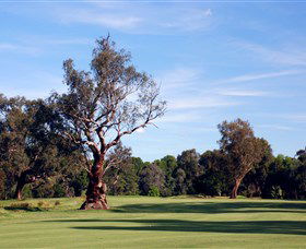 Corowa Golf Club - Accommodation Port Hedland 5