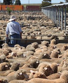 Livestock Marketing Centre - Accommodation Port Hedland 0