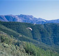 Buffalo Brewery - Accommodation Port Hedland