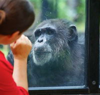 The Rockhampton Zoo - Accommodation Port Hedland