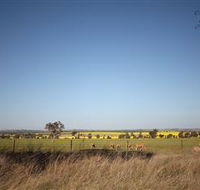 Cootamundra Bird Walk - Accommodation Port Hedland