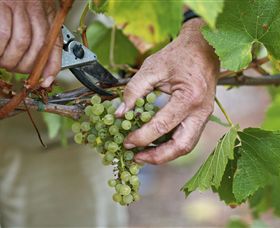 Austins & Co. - Accommodation Port Hedland 1