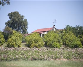 Samaria Farm - Accommodation Port Hedland 0