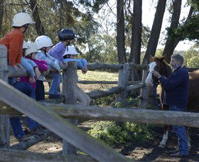 Harlow Park Horse Riding - Accommodation Port Hedland 0