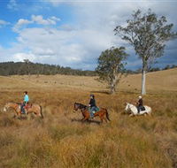 Chapman Valley Horse Riding - Accommodation Port Hedland