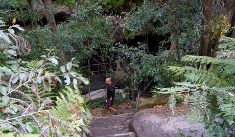 Leura Cascades Fern Bower - Accommodation Port Hedland 0
