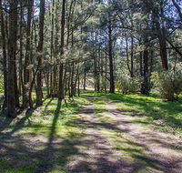 Wombeyan Waterfall walking track - Accommodation Port Hedland