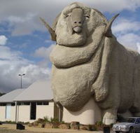 Big Merino - Accommodation Port Hedland