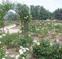 Victoria Park Rose Garden - Accommodation Port Hedland