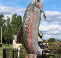 Big Trout - Accommodation Port Hedland