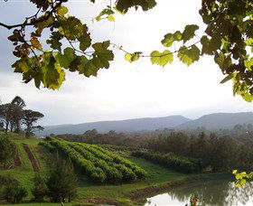 Enniskillen Orchard - Accommodation Port Hedland 1