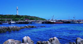 King Island Dairies - Accommodation Port Hedland 0