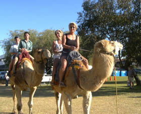 Calamunnda Camel Farm  - Accommodation Port Hedland 0