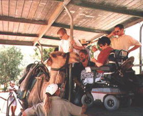 Calamunnda Camel Farm  - Accommodation Port Hedland 3