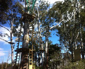 Trees Adventure Grose River Park - Accommodation Port Hedland 1