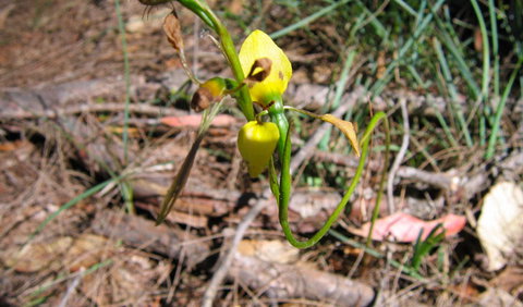 Bangadilly National Park - Accommodation Port Hedland 2
