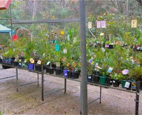 Glenbrook Native Plant Reserve And Nursery - Accommodation Port Hedland 3