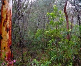 Glenbrook Native Plant Reserve And Nursery - Accommodation Port Hedland 2