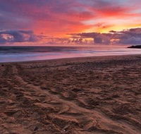 Mon Repos Beach - Accommodation Port Hedland