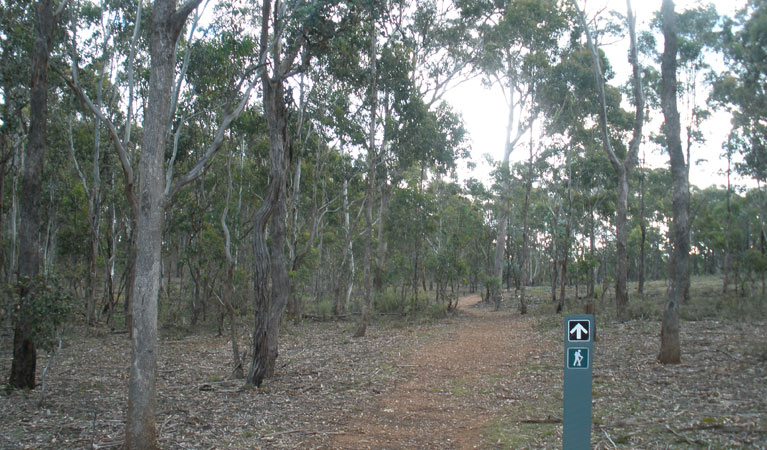  Accommodation Port Hedland