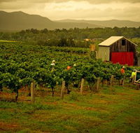 Around Hermitage Wine and Food Trail Hunter Valley - Accommodation Port Hedland