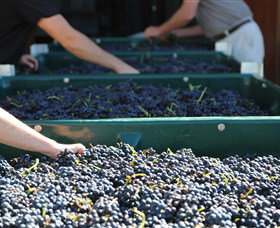 Around Hermitage Wine And Food Trail Hunter Valley - Accommodation Port Hedland 6