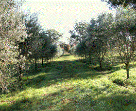 Langdale Farm - Accommodation Port Hedland