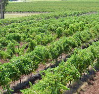 Pokolbin Brothers Wines Hunter Valley - Accommodation Port Hedland