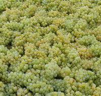 Normanby Wines - Accommodation Port Hedland