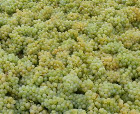 Normanby Wines - Accommodation Port Hedland 0